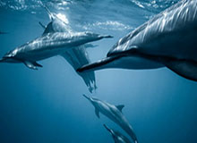 kaiyun-mk体育入口｜开启你的专属观赛之门