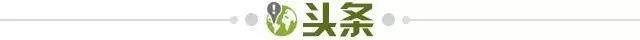 1718740393167024362.jpg 头条.jpg
